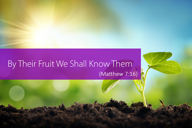 by-their-fruit-we-shall-know-them-matthew-7-16