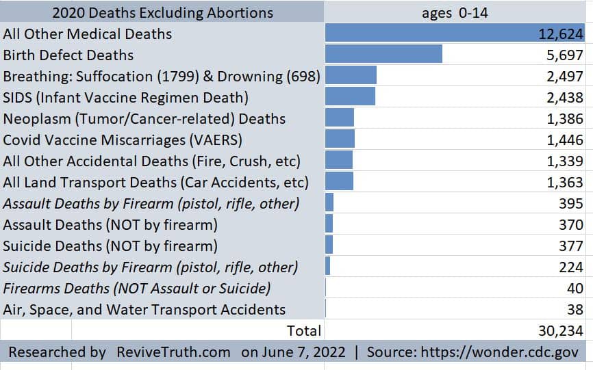 2020 Child Deaths Excluding Abortions, Ages 0-14, US, CDC