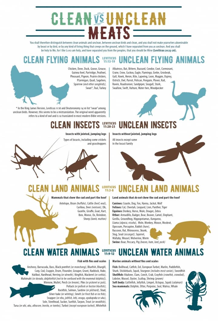 clean-vs-unclean-animals